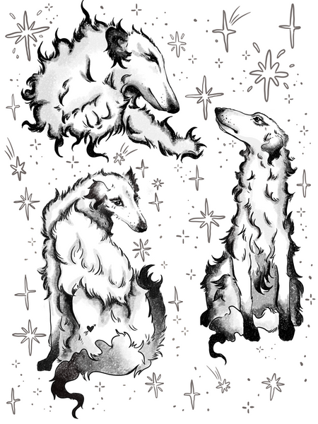 Borzoi Flash Prints!