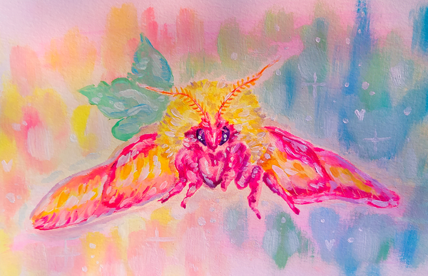 Original Rosy Maple Moth Painting
