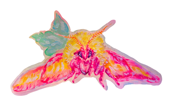 Rosy Maple Moth Sticker!