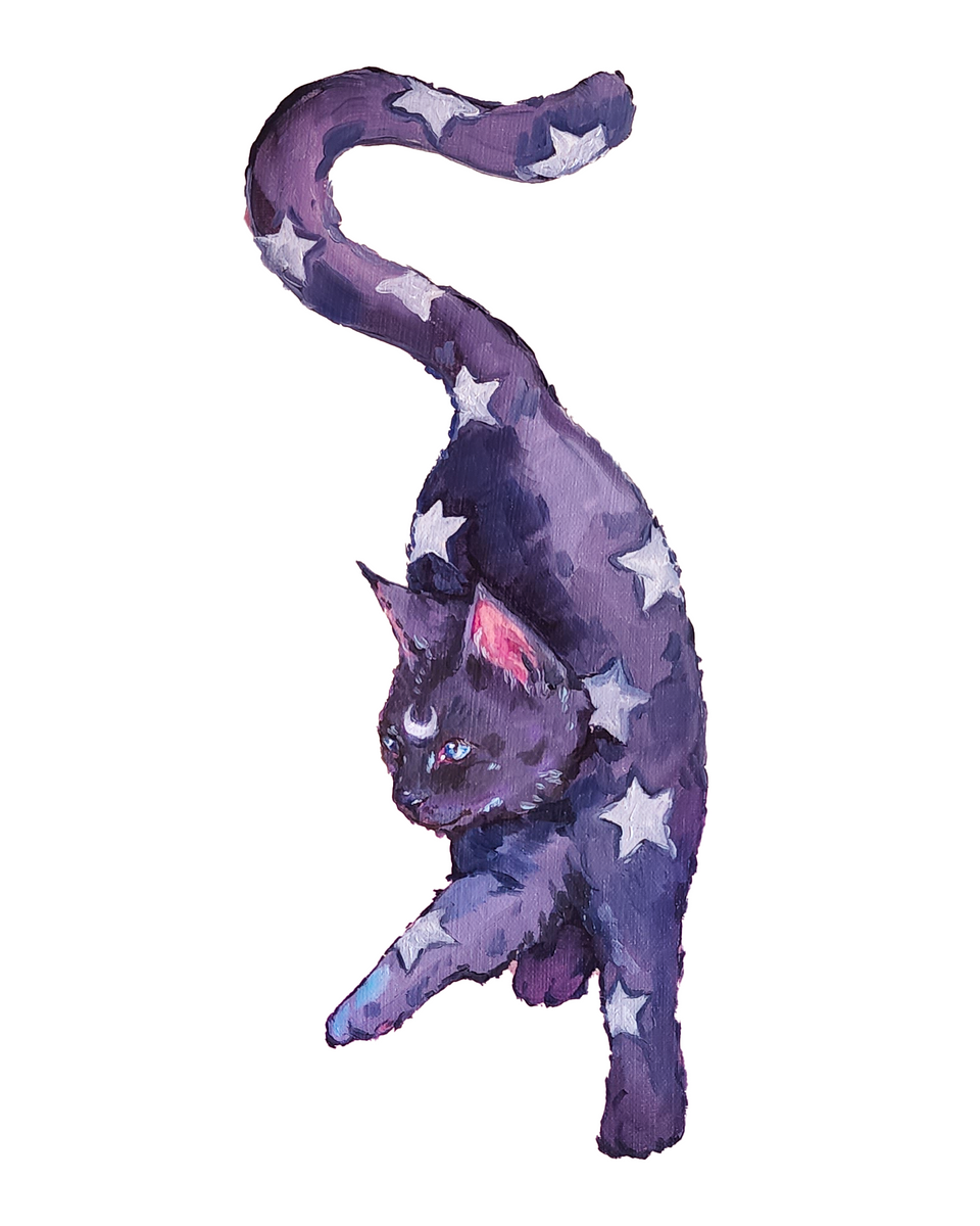 Sticker Cat Star Star Cat Stickers! – Shelby DeGarmo Art